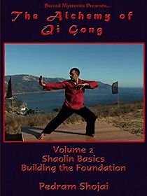 Watch The Alchemy of Qi Gong Volume 3