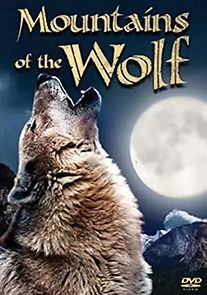 Watch Mountains of the Wolf