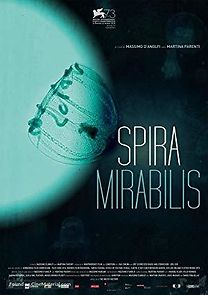 Watch Spira Mirabilis