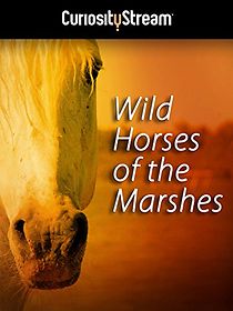 Watch Wild Horses of the Marshes