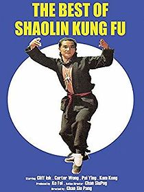 Watch The Best of Shaolin Kung Fu