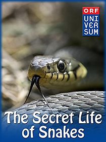 Watch The Secret Life of Snakes
