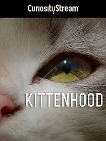 Watch Kittenhood