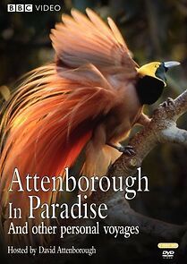 Watch Attenborough in Paradise