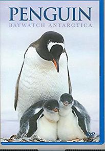 Watch Penguin Baywatch Antarctica