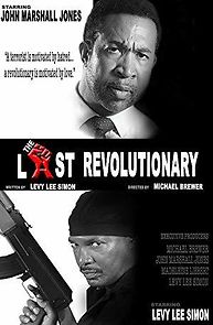 Watch The Last Revolutionary