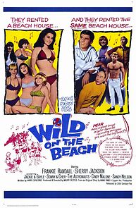 Watch Wild on the Beach