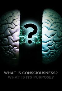 Watch What Is Consciousness? What Is Its Purpose?