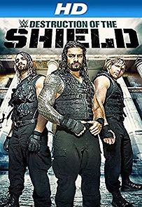 Watch Journey to SummerSlam: The Destruction of the Shield
