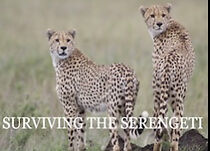 Watch Surviving the Serengeti