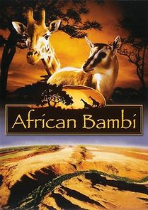 Watch African Bambi