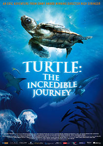 Watch Turtle: The Incredible Journey