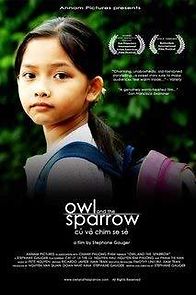 Watch Owl and the Sparrow