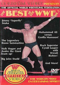 Watch Best of the WWF Volume 1