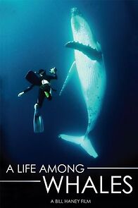 Watch A Life Among Whales
