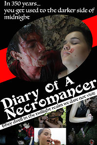 Watch Diary of a Necromancer