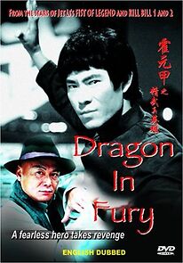 Watch Dragon in Fury