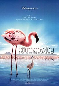 Watch The Crimson Wing: Mystery of the Flamingos