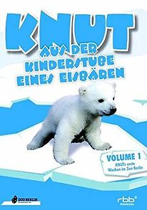Watch Knut! - Aus der Kinderstube eines Eisbären