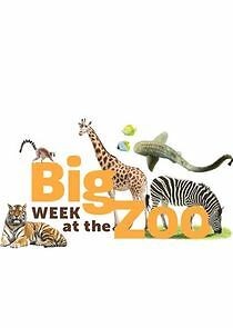 Watch Big Week at the Zoo
