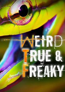Watch Weird, True & Freaky
