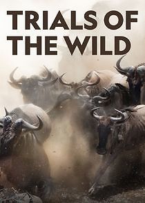 Watch Trials of the Wild