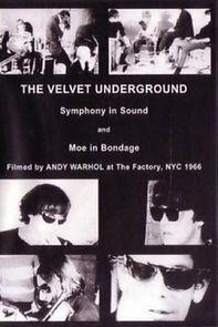 Watch The Velvet Underground and Nico