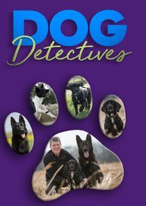 Watch Dog Detectives