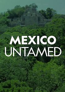 Watch Mexico Untamed