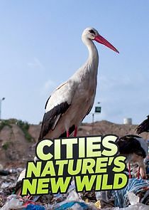 Watch Cities: Nature's New Wild