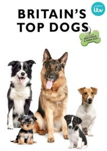 Watch Britain's Top Dogs