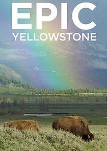 Watch Epic Yellowstone