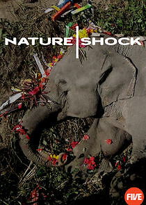 Watch Nature Shock