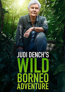 Watch Judi Dench's Wild Borneo Adventure