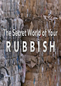 Watch The Secret World of Your Rubbish