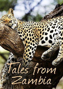 Watch Tales from Zambia