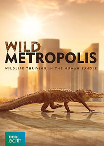 Watch Wild Metropolis