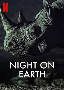 Watch Night on Earth