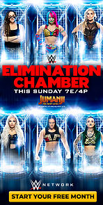 Watch WWE Elimination Chamber (TV Special 2020)