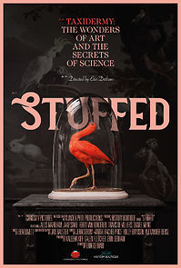 Watch Stuffed