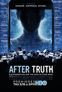 Watch After Truth: Disinformation and the Cost of Fake News