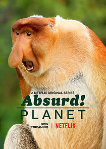 Watch Absurd Planet