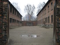 Watch Made in Auschwitz: The Untold Story of Block 10