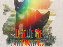 Watch Rescue Me: International