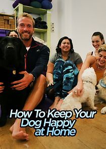 Watch How to Keep Your Dog Happy at Home