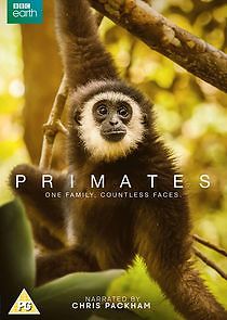 Watch Primates
