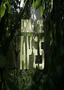 Watch Among the Apes