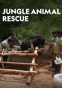 Watch Jungle Animal Rescue