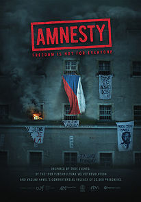 Watch Amnestie