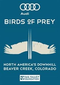 Watch Audi Birds of Prey